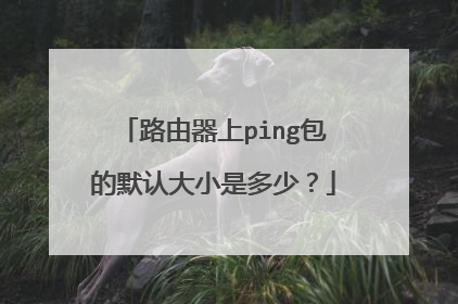 路由器上ping包的默认大小是多少?