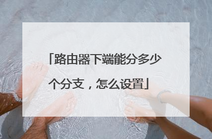 路由器下端能分多少个分支，怎么设置