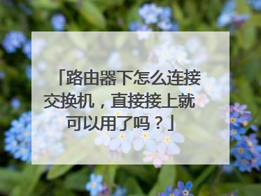 路由器下怎么连接交换机,直接接上就可以用了吗?