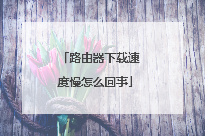 路由器下载速度慢怎么回事