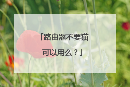 路由器不要猫 可以用么?