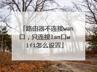 路由器不连接wan口,只连接lan口wifi怎么设置