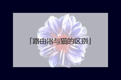 路由器与猫的区别