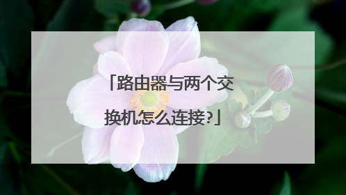 路由器与两个交换机怎么连接?