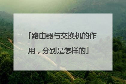 路由器与交换机的作用，分别是怎样的