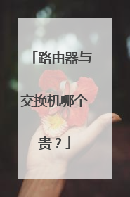 路由器与交换机哪个贵？