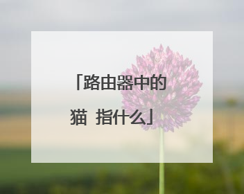 路由器中的猫 指什么