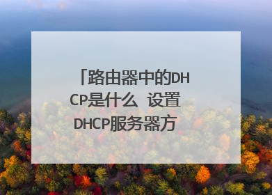 路由器中的DHCP是什么 设置DHCP服务器方法【详细介绍】