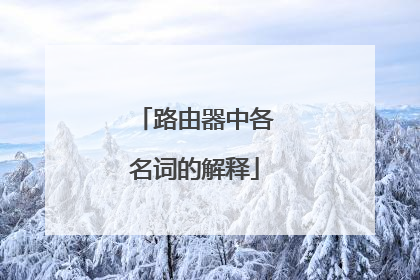 路由器中各名词的解释