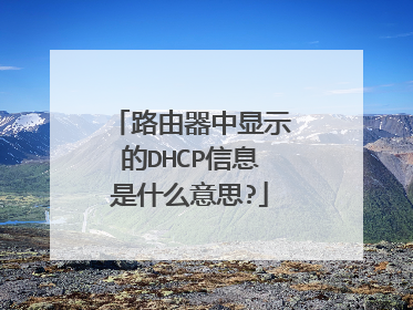 路由器中显示的DHCP信息是什么意思?