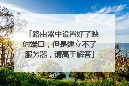 路由器中设置好了映射端口,但是建立不了服务器,请高手解答
