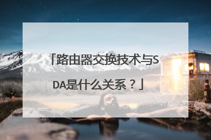 路由器交换技术与SDA是什么关系?
