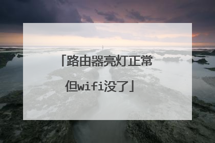 路由器亮灯正常但wifi没了