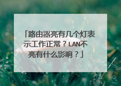 路由器亮有几个灯表示工作正常？LAN不亮有什么影响？