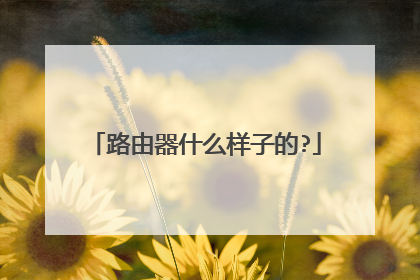 路由器什么样子的?