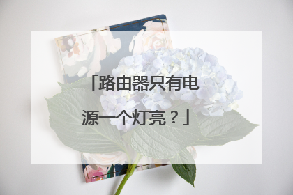 路由器只有电源一个灯亮？