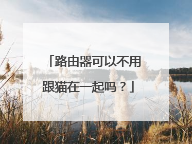 路由器可以不用跟猫在一起吗？