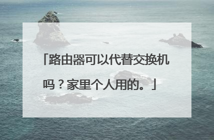 路由器可以代替交换机吗？家里个人用的。