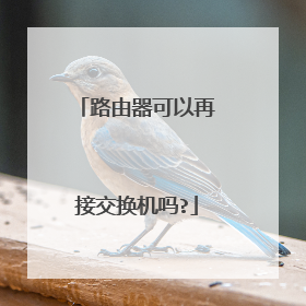 路由器可以再接交换机吗?