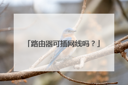 路由器可插网线吗?