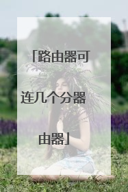 路由器可连几个分器由器