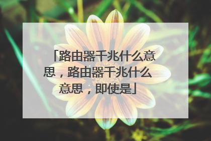 路由器千兆什么意思,路由器千兆什么意思,即使是