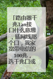 路由器千兆lan接口什么意思,插网线那个口,我家宽带电信的100兆,选千兆口或者百兆口网速不一样么