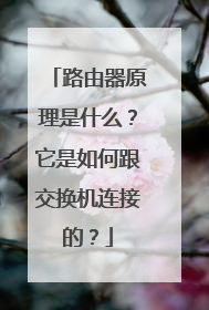 路由器原理是什么？它是如何跟交换机连接的？