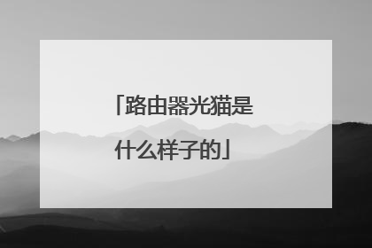 路由器光猫是什么样子的