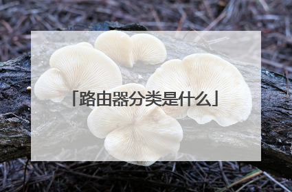 路由器分类是什么