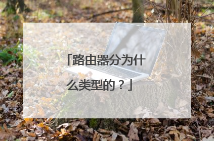 路由器分为什么类型的？