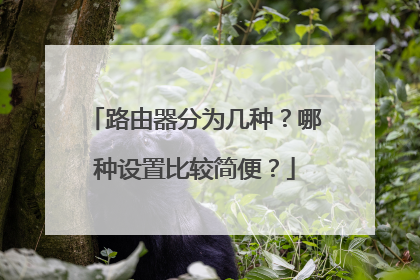 路由器分为几种?哪种设置比较简便?