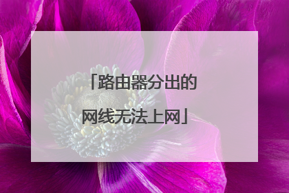 路由器分出的网线无法上网
