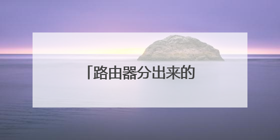 路由器分出来的网线无法上网