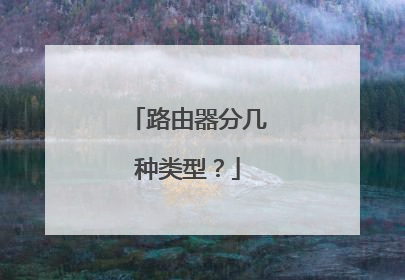 路由器分几种类型？