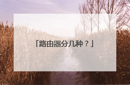 路由器分几种?