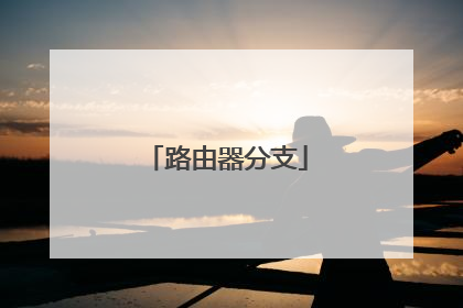 路由器分支