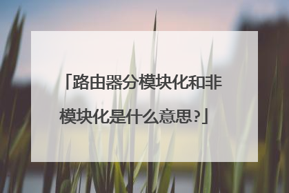 路由器分模块化和非模块化是什么意思?