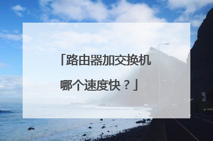 路由器加交换机哪个速度快?