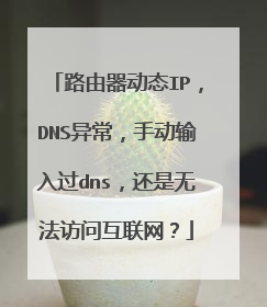 路由器动态IP,DNS异常,手动输入过dns,还是无法访问互联网?