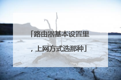 路由器基本设置里,上网方式选那种