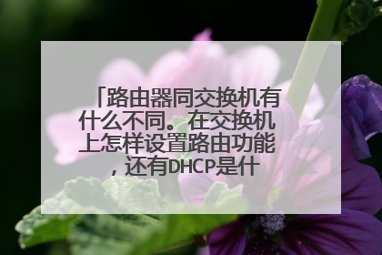 路由器同交换机有什么不同。在交换机上怎样设置路由功能，还有DHCP是什么，怎样找到它？