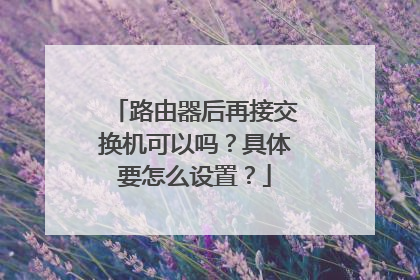 路由器后再接交换机可以吗？具体要怎么设置？