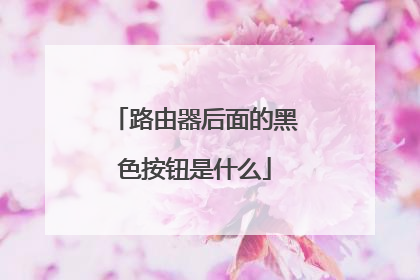 路由器后面的黑色按钮是什么