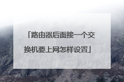 路由器后面接一个交换机要上网怎样设置