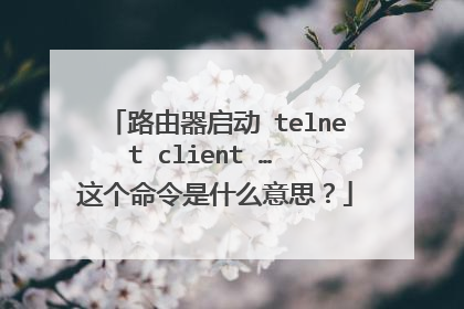 路由器启动 telnet client … 这个命令是什么意思?