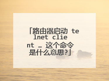 路由器启动 telnet client … 这个命令是什么意思?