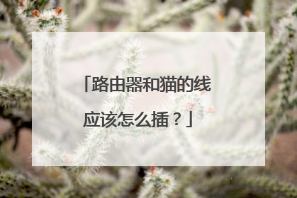 路由器和猫的线应该怎么插？