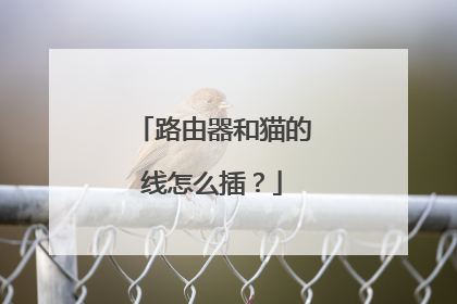 路由器和猫的线怎么插?