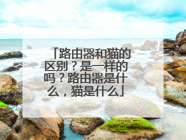 路由器和猫的区别？是一样的吗？路由器是什么，猫是什么